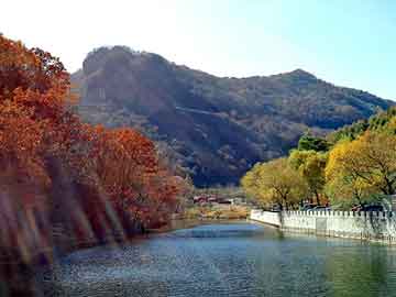 新澳门二四六天天彩，北京的市花是什么